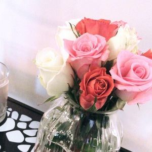 Meet your Posher, Paige